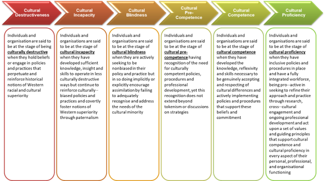 Cultural Competency Model